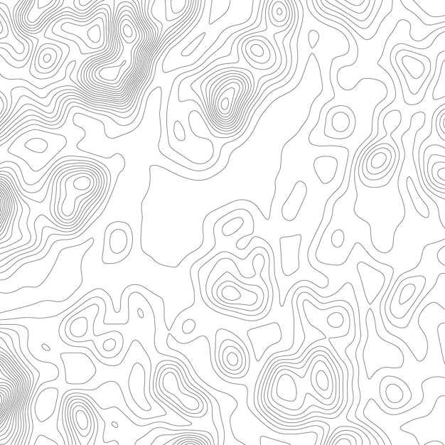 Topography map background Grid map Contour Vector illustration