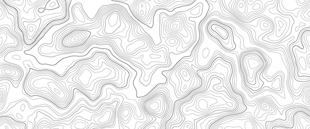 Topography map with grid Vector relief map