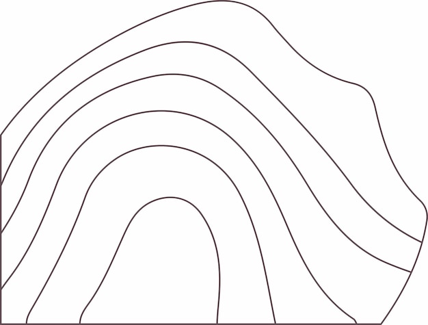 Vector topography