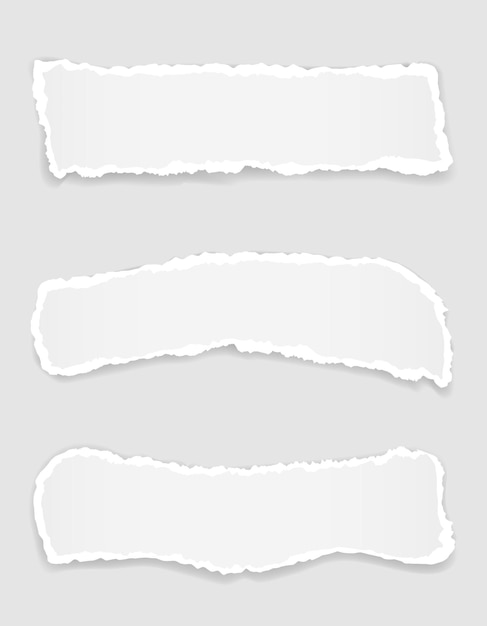 Torn paper edge for design with transparent space template vector illustration