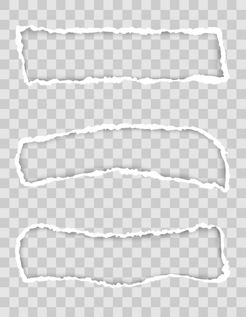 ベクトル 透明なスペーステンプレートを使用したデザインの破れた紙の端