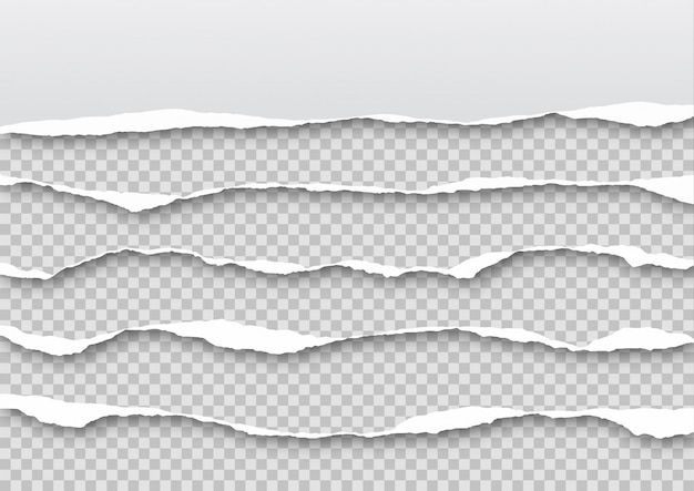 ベクトル 破れた紙シートセット