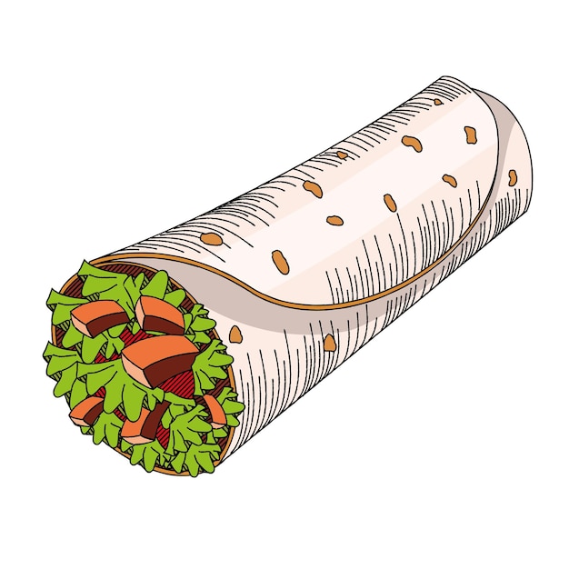 Vector tortilla wrap with lettuce and meat illustration