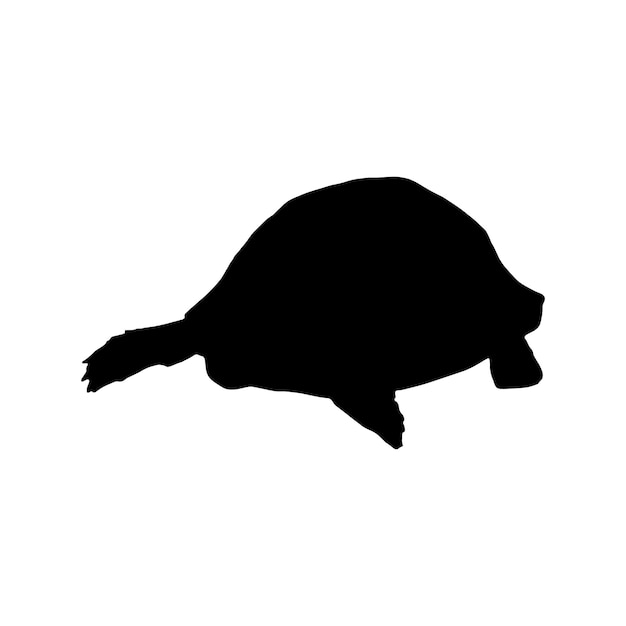 Silhouette di tartaruga insieme insieme isolato nero su sfondo bianco illustrazione vettoriale
