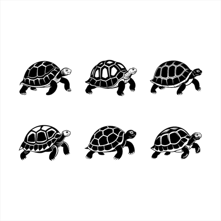 Vector tortoise vector graphic design file