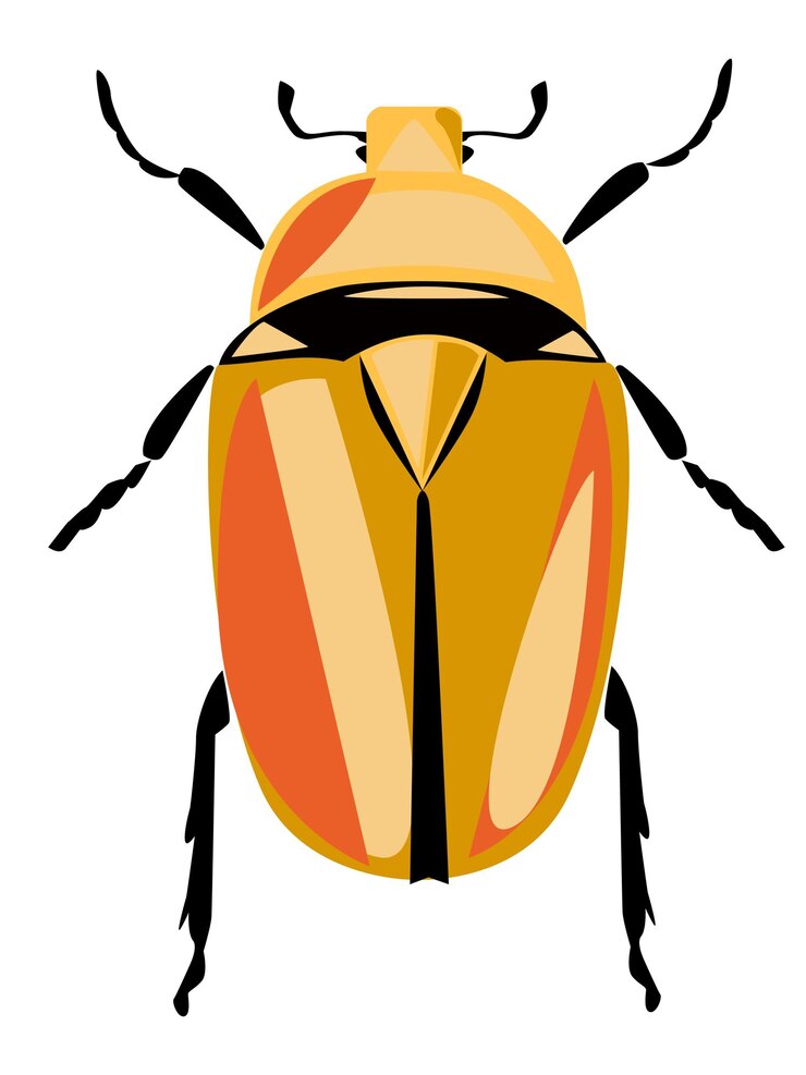 Vector torynorhinna flamea firefly cockroach vector illustration
