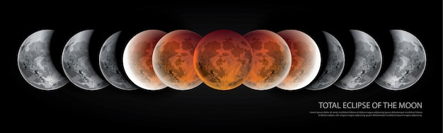 Vector total eclipse of the moon vector illustration