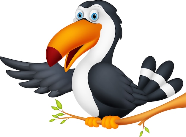 Toucan bird cartoon presenting