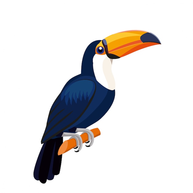 Toucan bird geïsoleerd op wit