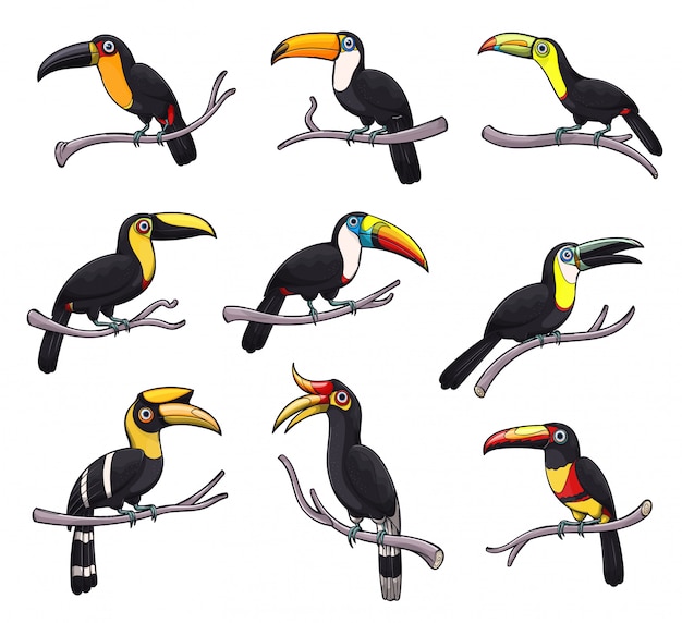 Toucan bird icons of exotic tropical animals