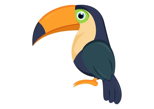 Toucan Bird Vector Illustration Isolated On white Background
