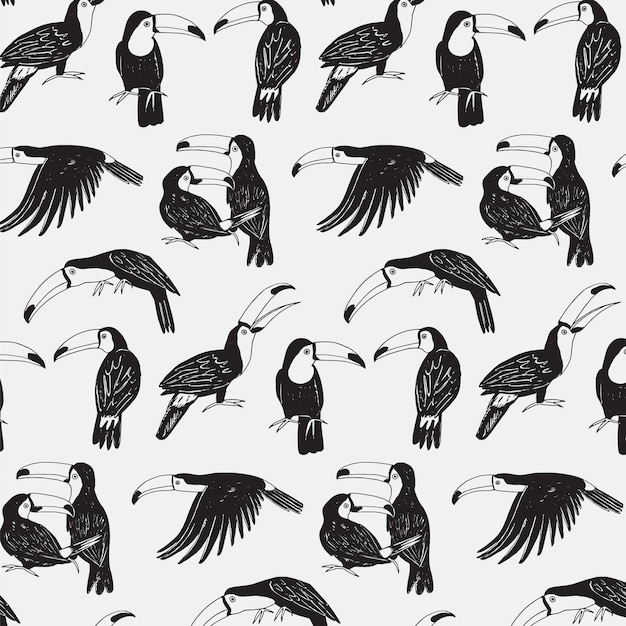 Toucan bird vector line seamless pattern