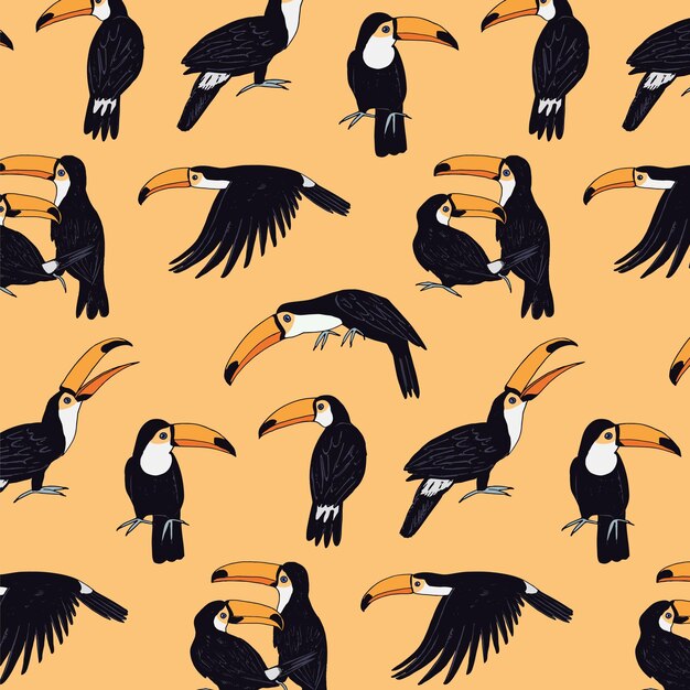 Toucan bird vector seamless pattern