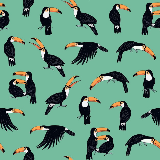 Toucan bird vector seamless pattern