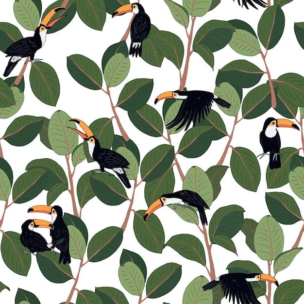 Toucan bird vector seamless pattern