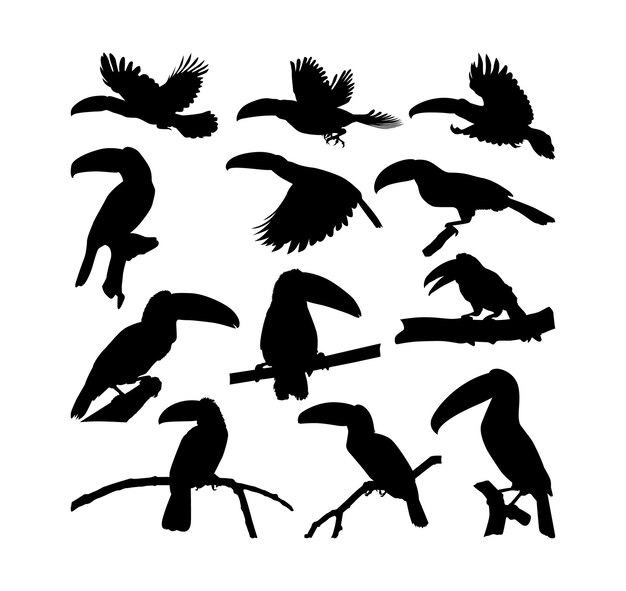 Vector toucan bird vector silhouettes