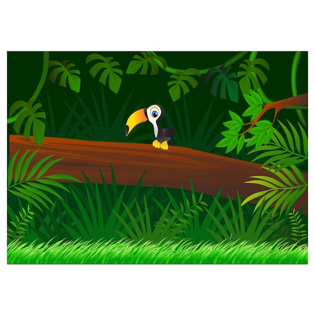 Cartone animato tucano sullo sfondo della foresta