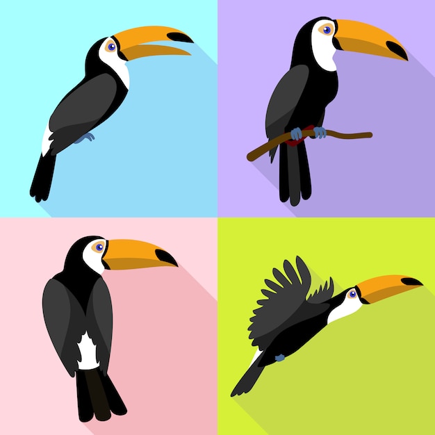 Vettore set di caratteri toucan su stile cartoon piatta
