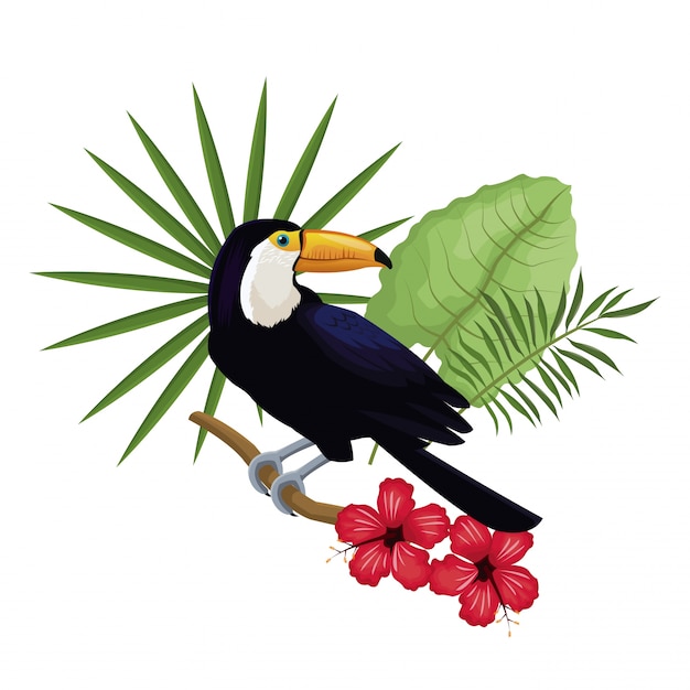 Toucan hibiscus branch palm leaves