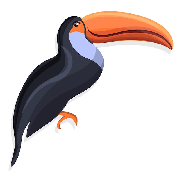 Toucan icon Cartoon of toucan vector icon for web design isolated