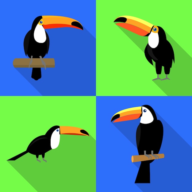 Vector toucan icons set, flat style