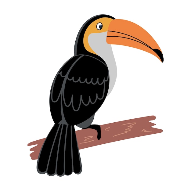 toucan isolated on white toucan bird cartoon