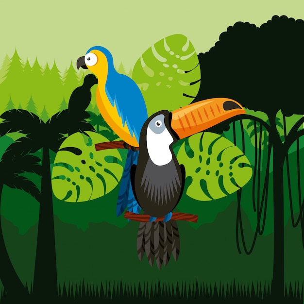 Vector toucan and macaw birds