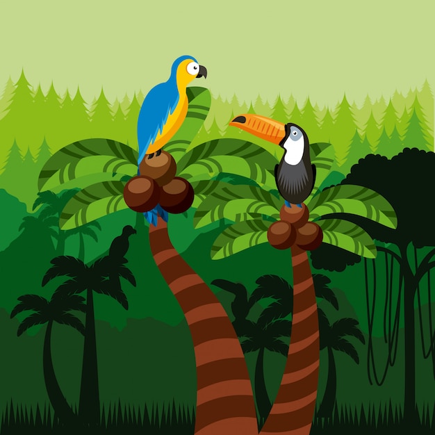 Vector toucan and macaw birds