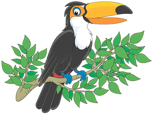 Toucan perched on a branch of a tropical tree in a jungle