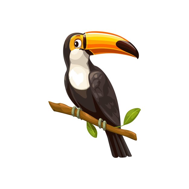 Vector toucan sitting on branch vector tropical bird