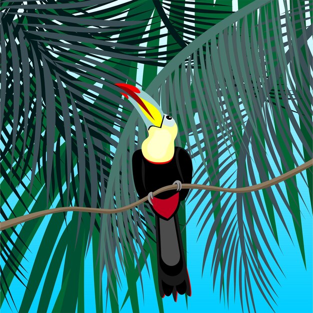 Vector toucan on the tree