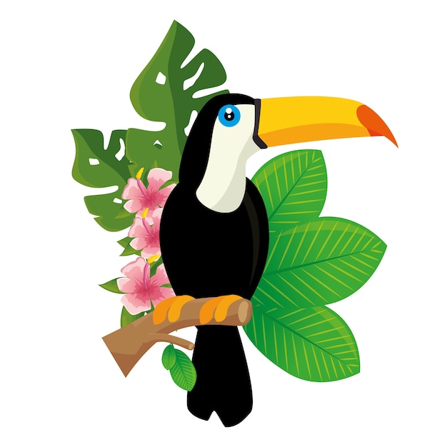 Vettore icona di uccello tropicale tucano