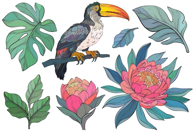 Vector toucan vogel tropische bladeren en exotische bloemen wilde dieren groene planten en jungle vers gebladerte