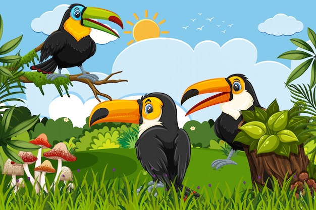 Vector toucans in jungle scene