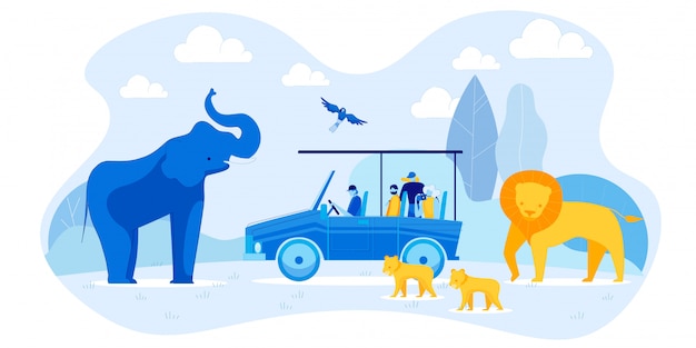 Туристы на автомобиле и слоне, Lion Family, попугай