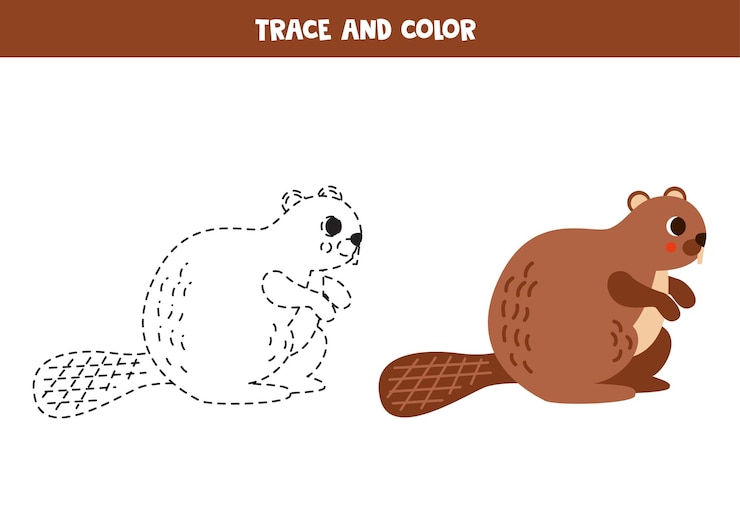Vector trace and color cartoon cute beaver worksheet for children