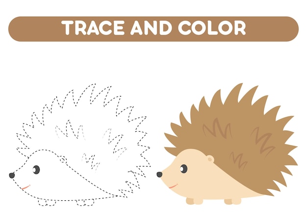 Vector trace and color cute cartoon hedgehog worksheet for kids