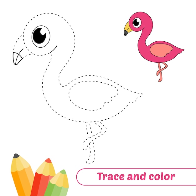 Trace and color for kids flamingo vector