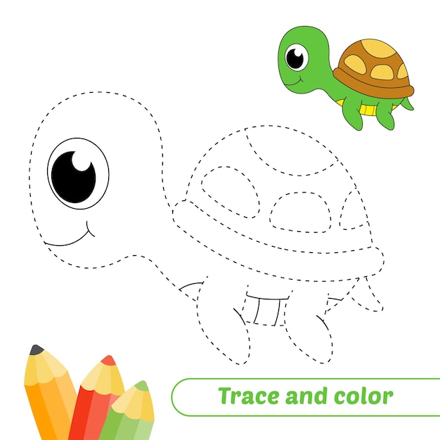 Trace and color for kids turtle vector