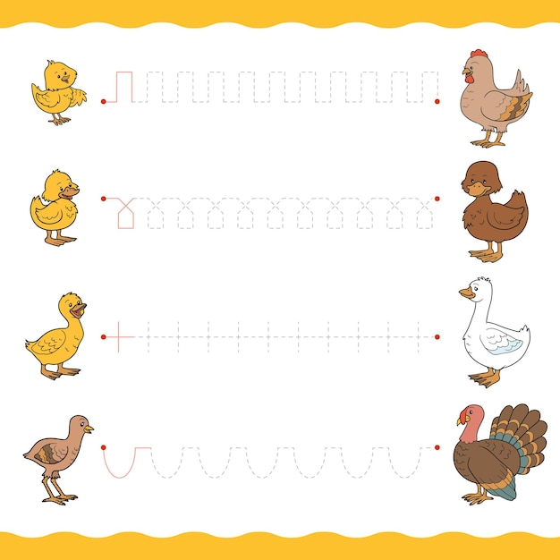Trace the dotted lines from young birds to their moms Connect the dots education game for children
