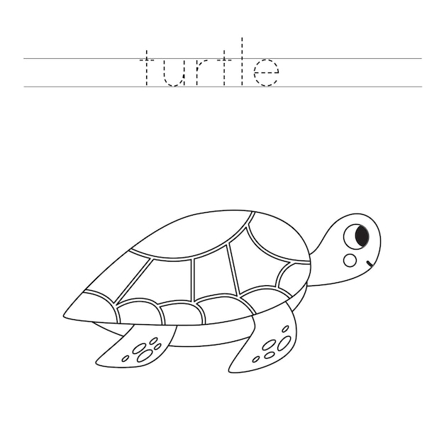글자 추적 및 컬러 만화 거북이 아이들을 위한 필기 연습