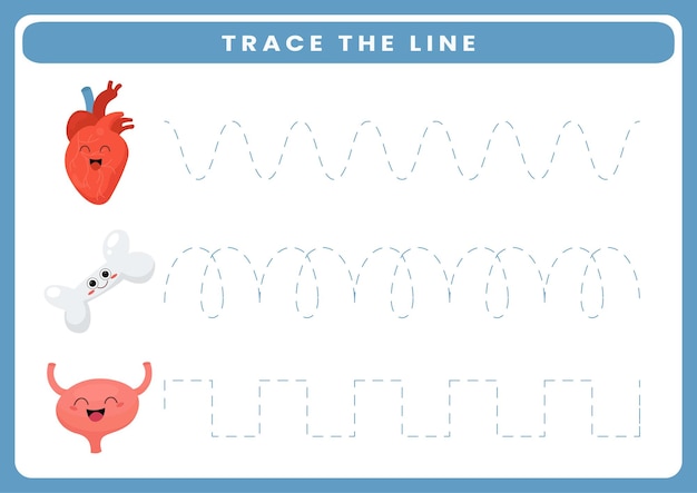 Trace the line cute cartoon human anatomy and organ worksheet for kids