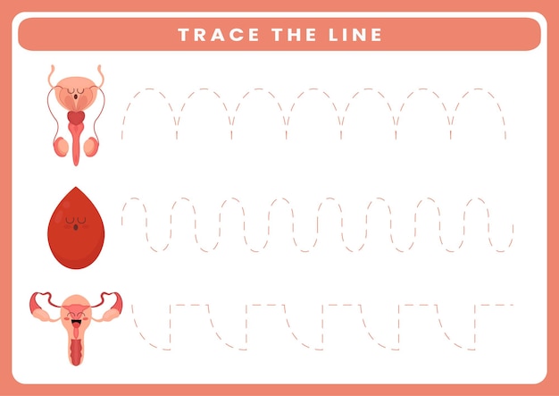 Trace the line cute cartoon human anatomy and organ worksheet for kids