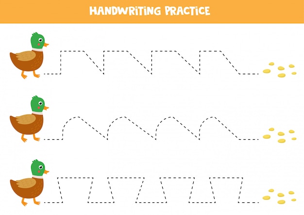 Trace the lines between cute duck and seeds.