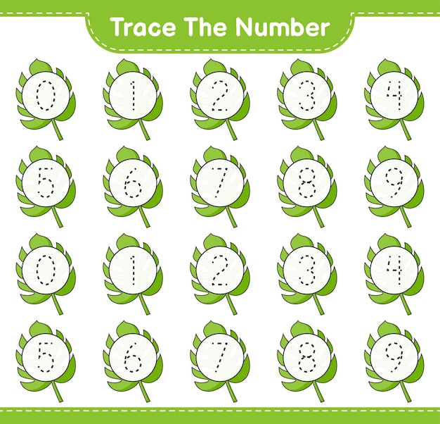 Trace the number Tracing number with Monstera Educational children game printable worksheet