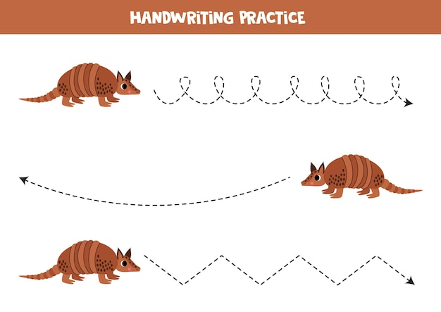 Vector tracing lines for kids cute cartoon brown armadillo handwriting practice for children