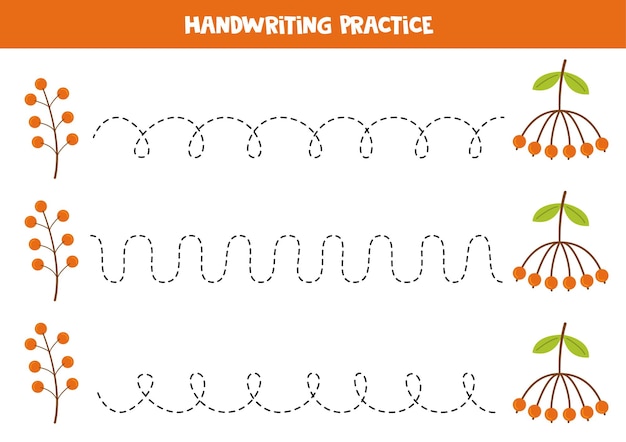 Tracing lines for kids hand drawn ash berry bunch writing practice