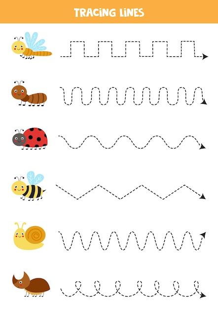 Tracciare linee con simpatici insetti. pratica di scrittura.