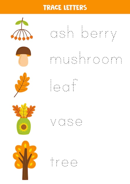 Tracing names of cute autumn elements Writing practice