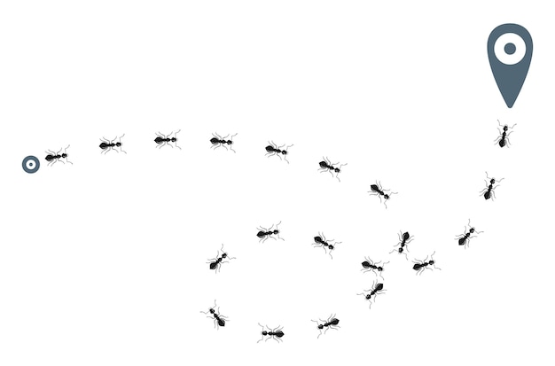 Inseguimento delle formiche isolate su fondo bianco. colonna di formiche nere in esecuzione in segni di mappatura. Vettore Premium